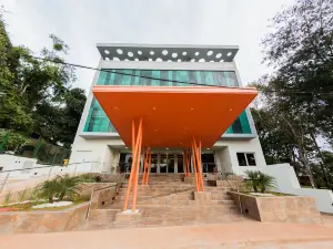 City Falls Iguazu