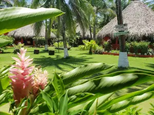 Paraiso Beach Hotel