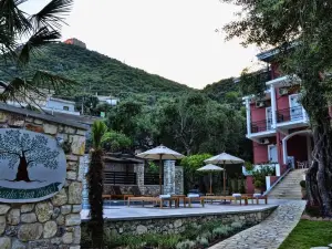 Vassilis Guest House