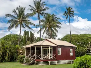 威美亞種植園小屋飯店