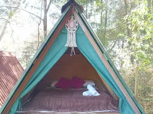 Aqui No Camping