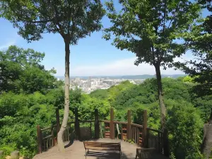 Okayama International Hotel