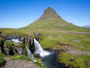 โกตุฮัส