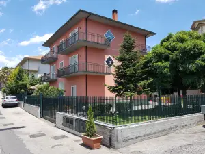 BluViRo