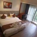 Tulip Arena Raipur Promo Code