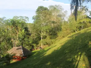 La Habana Amazon Reserve