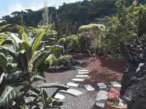Baía de Canas Villa