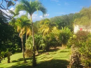 Sea Song Caribbean Villa
