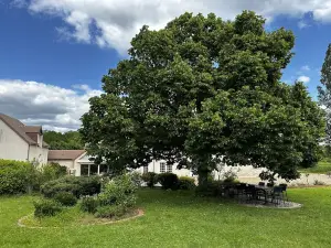 Domaine de Couilleuse
