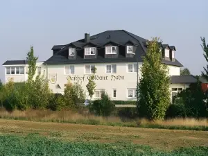 Hotel Gasthof Goldener Hahn