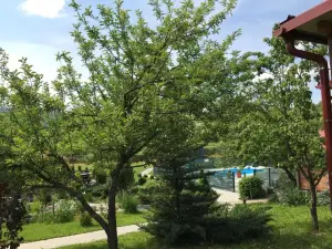 Villa Rubčić Rooms