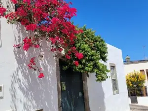 Vv Condevega