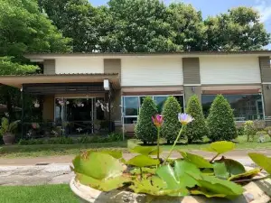 The Orchid House