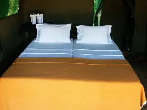 벨리훌로야 어드벤처 캠프