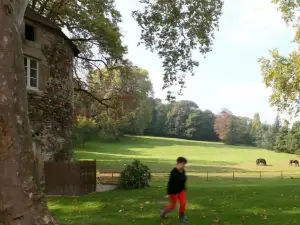 Domaine la Bonne Etoile