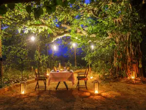 The Untamed Bandhavgarh by Tutc