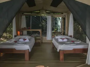 La Leona Eco Lodge