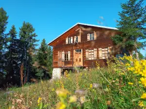 Demircioglu Pokut Dag Evi