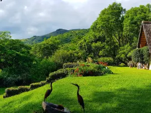 Wide Horizons Mountain Retreat