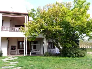 B&B Villa Elisa