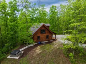 Tupelo - Hand hewn private log cabin with views