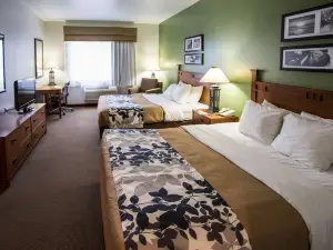 Sleep Inn & Suites Conference Center Eau Claire North
