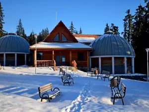 Pension Tofalvi