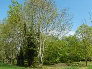 Insolite la Tiny House du Lutin Many et Son Bain Nordique