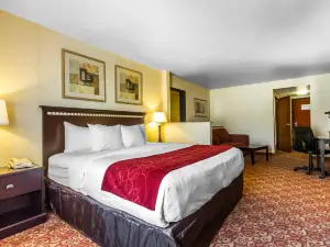 Comfort Suites Vacaville-Napa Valley Area