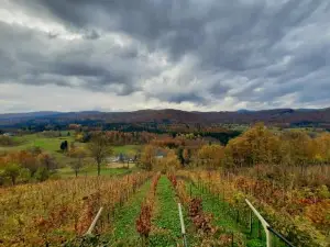 Vineyard Cottage Kulovec