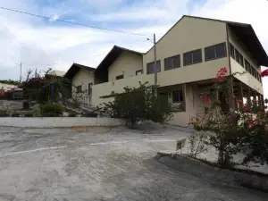 Encanto Dos Pássaros