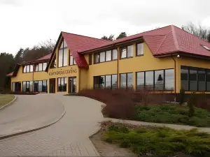 Senieji Bačkonys