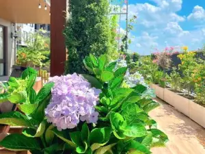 peaceful garden