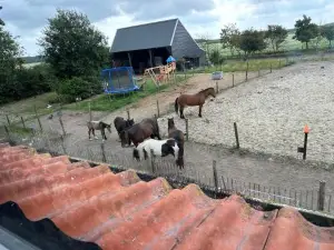 Het Tinkerparadijs, Paarden, Rust en Ruimte.