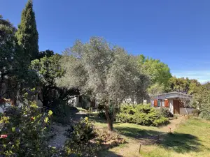 La Cerca Del Alcornoque