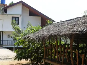 Birds Paradise Hotel
