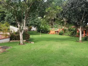 Los Olivos