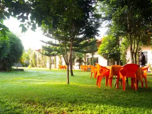 Distinction Gardens