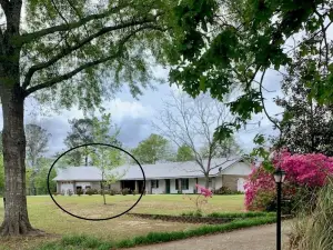 Spacious 1-bedroom guesthouse in lovely Wiggins with WiFi, AC