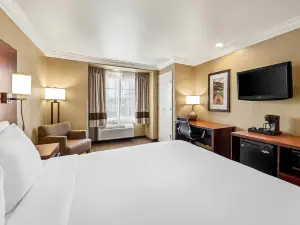 Comfort Inn & Suites Salinas
