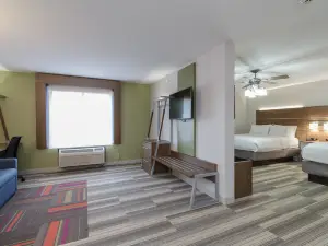 Holiday Inn Express & Suites SOUTH BEND - NOTRE DAME UNIV. by IHG