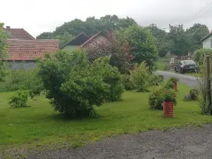 Apartman Za Kostelem