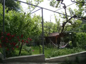 Guest House Ucha