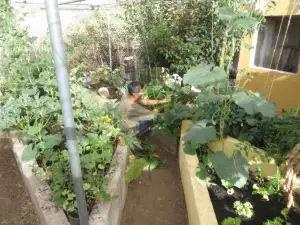 Finca Cortez Apartment 2