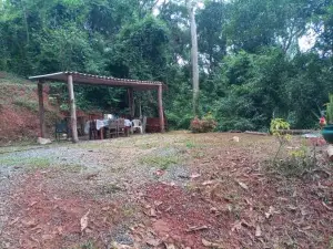 Parque Dos Passaros