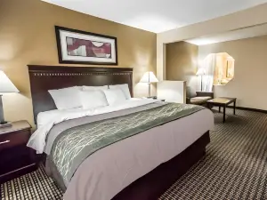 Econo Lodge Inn & Suites Monroe