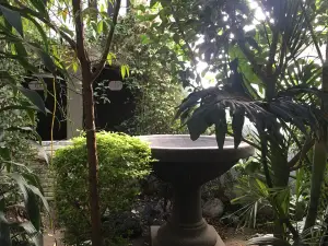 卡莉奎札科特爾酒店