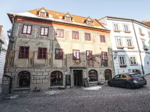 Hotel Krčínův Dům