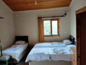 셀레네스 펜션