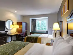 Spark by Hilton Sterling Dulles Airport